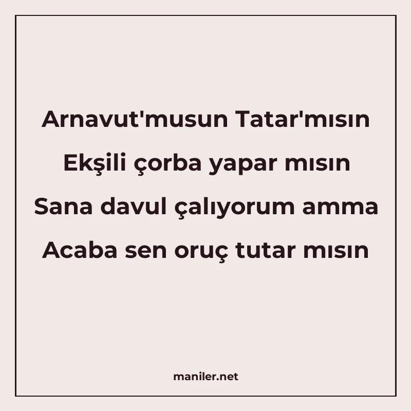 Arnavut'musun Tatar'mısın Ekşili çorba yapar mısın Sana davu manisi görseli