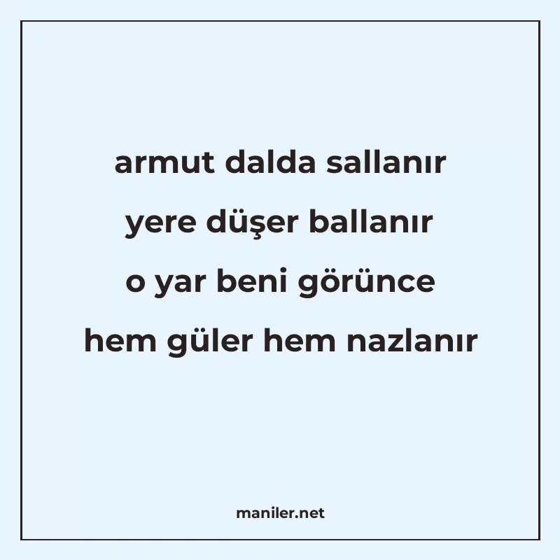 armut dalda sallanır yere düşer ballanır o yar beni görünce manisi görseli