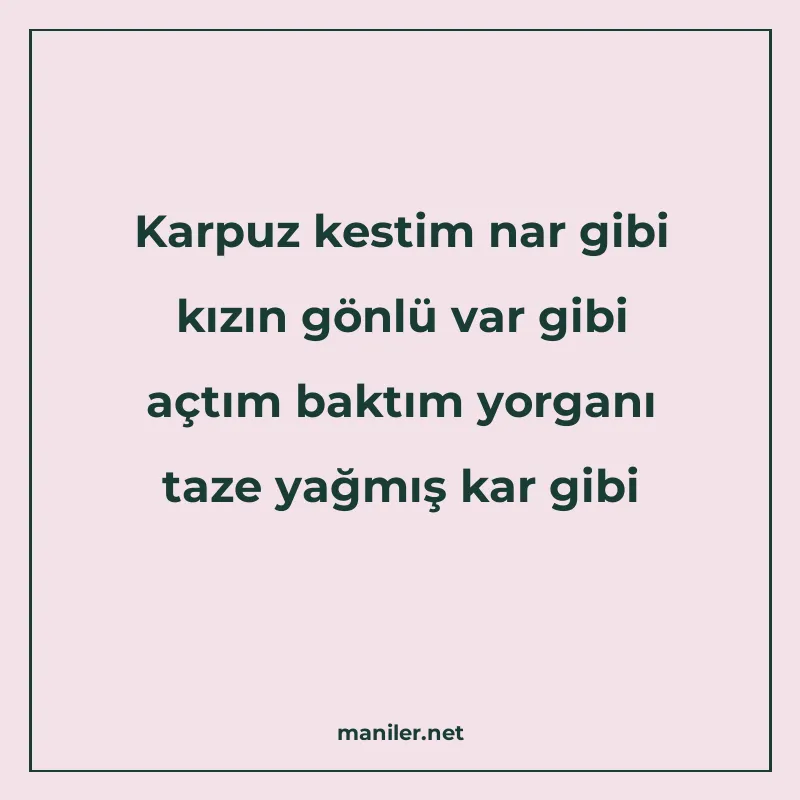 Karpuz kestim nar gibi kızın gönlü var gibi açtım baktım yor manisi görseli