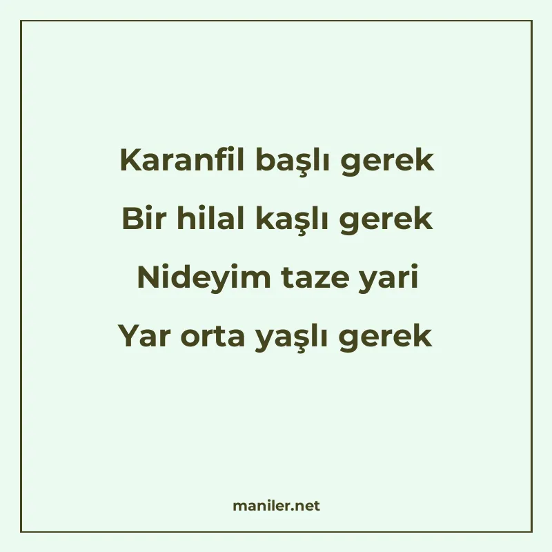 Karanfil başlı gerek Bir hilal kaşlı gerek Nideyim taze yari manisi görseli