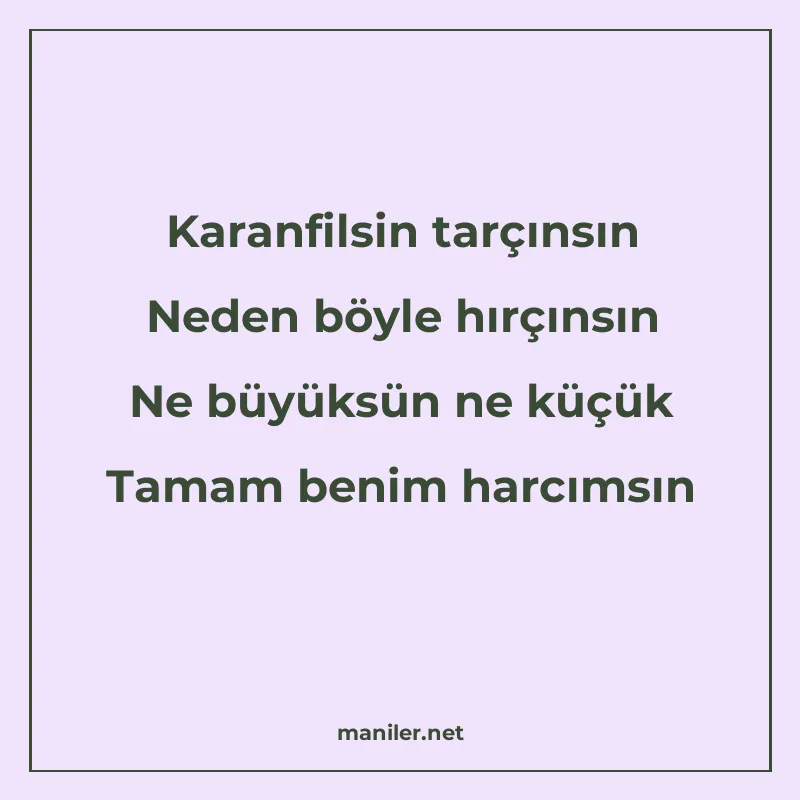 Karanfilsin tarçınsın Neden böyle hırçınsın Ne büyüksün ne k manisi görseli