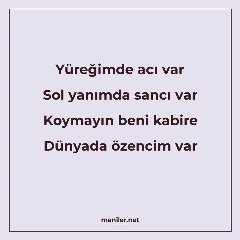 Yüreğimde acı var Sol yanımda sancı var Koymayın beni kabire manisi görseli