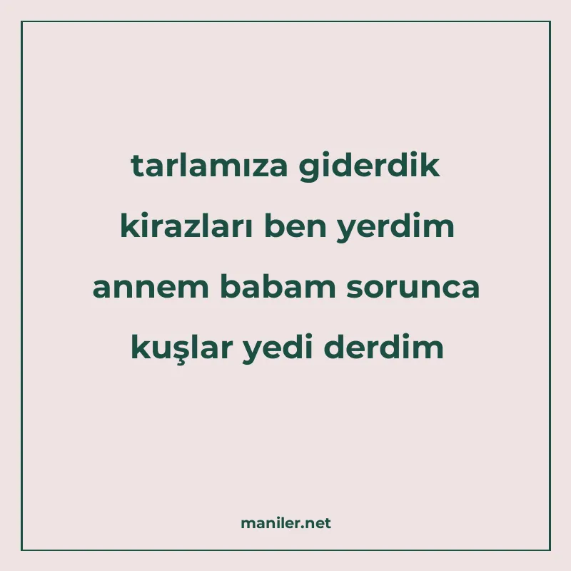 tarlamıza giderdik kirazları ben yerdim annem babam sorunca manisi görseli