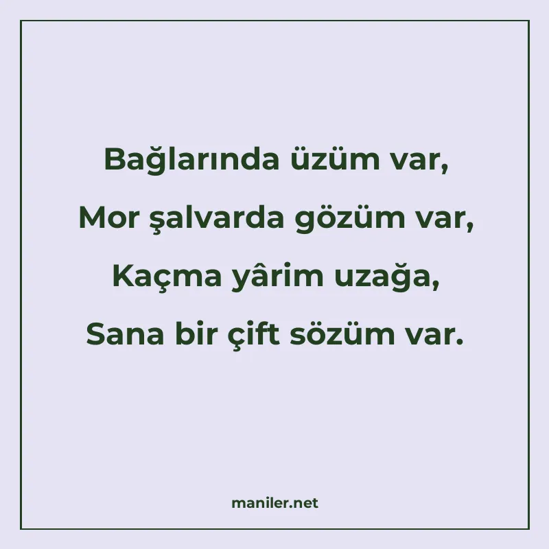 Bağlarında üzüm var, Mor şalvarda gözüm var, Kaçma yârim uza manisi görseli