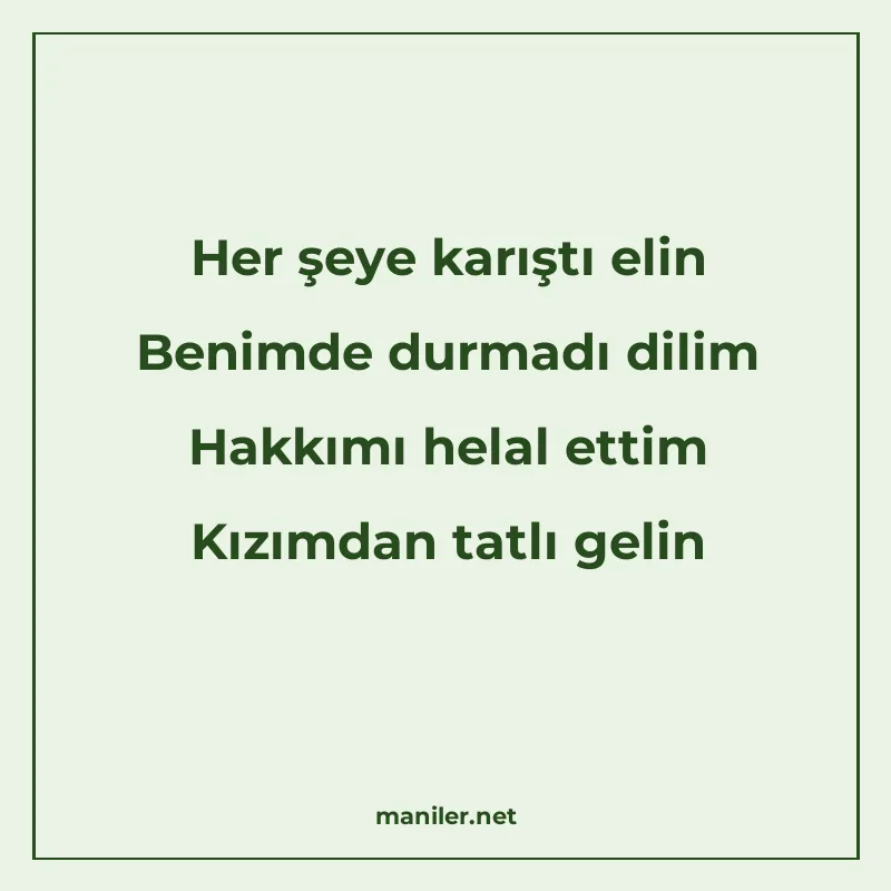 Her şeye karıştı elin Benimde durmadı dilim Hakkımı helal et manisi görseli