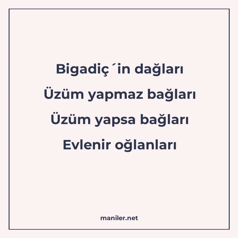 Bigadiç´in dağları Üzüm yapmaz bağları Üzüm yapsa bağları Ev manisi görseli