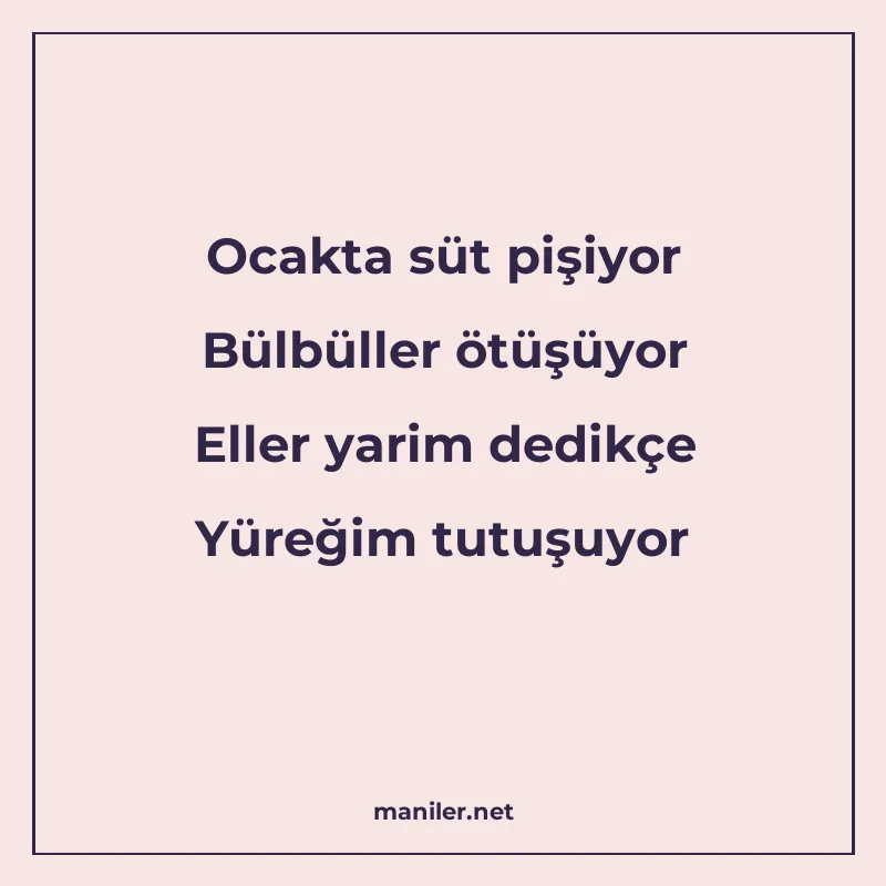 Ocakta süt pişiyor Bülbüller ötüşüyor Eller yarim dedikçe Yü manisi görseli