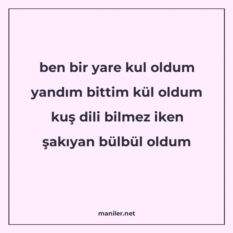 ben bir yare kul oldum yandım bittim kül oldum kuş dili bilm manisi görseli