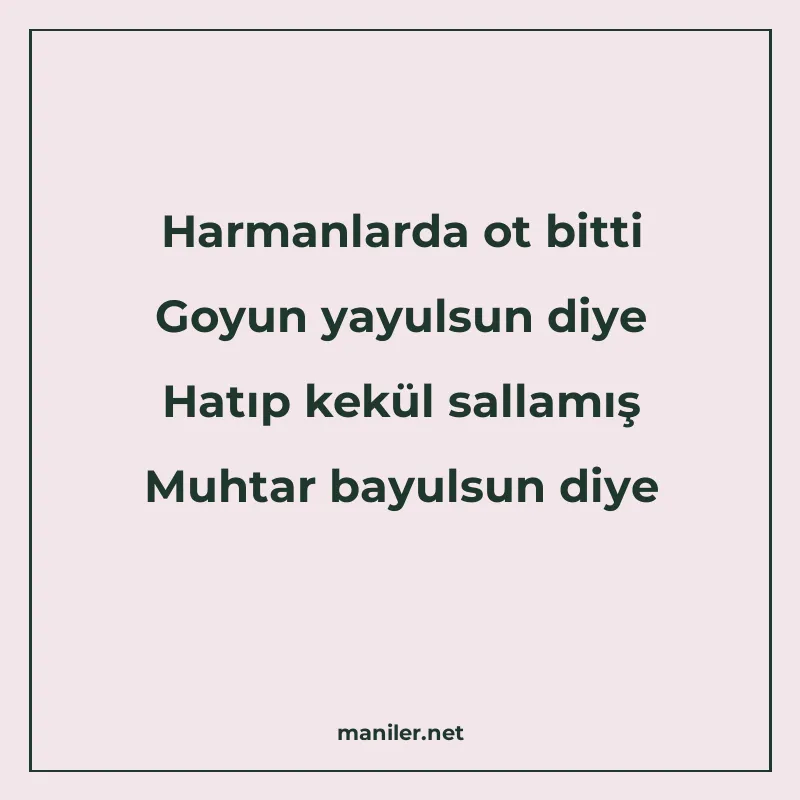 Harmanlarda ot bitti Goyun yayulsun diye Hatıp kekül sallamı manisi görseli