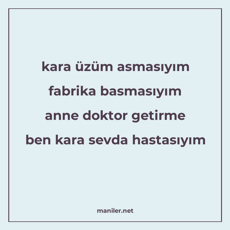 kara üzüm asmasıyım fabrika basmasıyım anne doktor getirme b manisi görseli