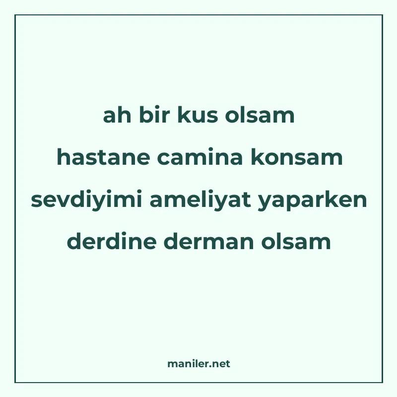 ah bir kus olsam hastane camina konsam sevdiyimi ameliyat ya manisi görseli