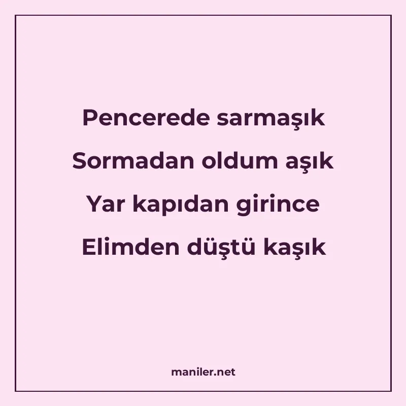 Pencerede sarmaşık Sormadan oldum aşık Yar kapıdan girince E manisi görseli