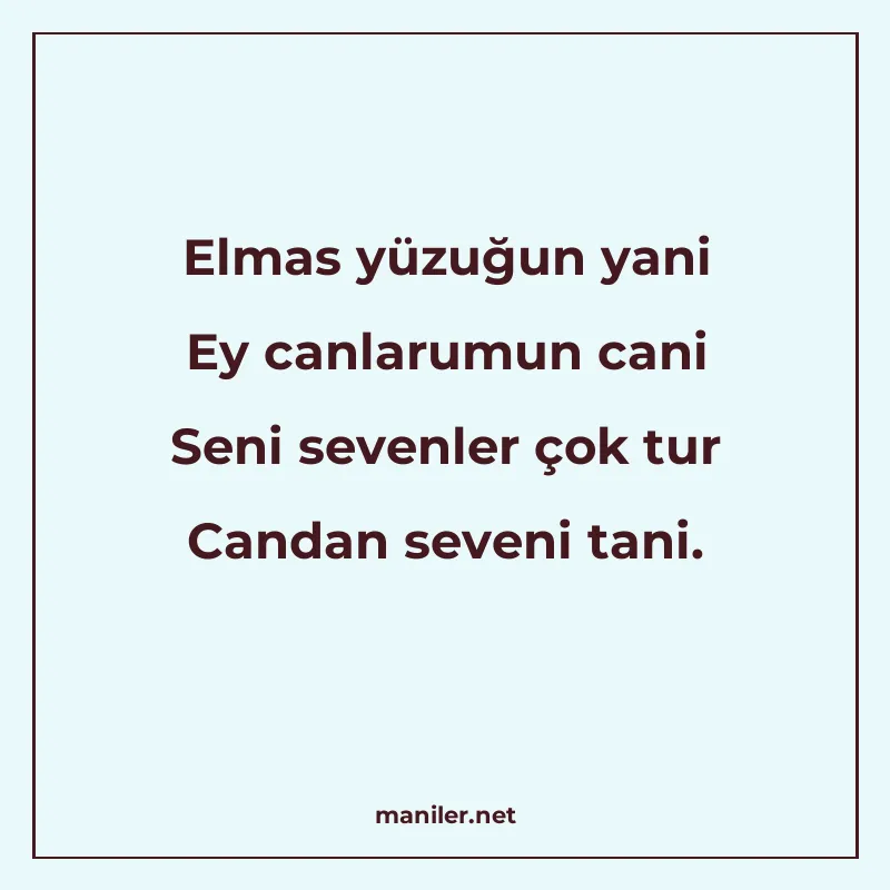 Elmas yüzuğun yani Ey canlarumun cani Seni sevenler çok tur manisi görseli