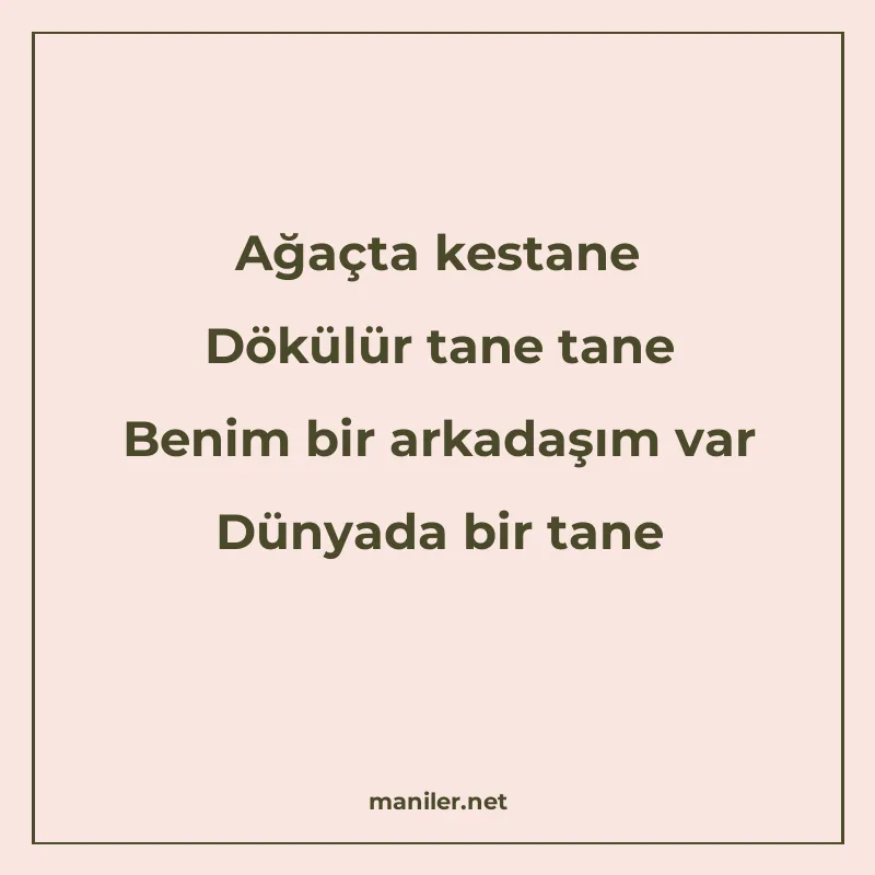 Ağaçta kestane Dökülür tane tane Benim bir arkadaşım var Dün manisi görseli