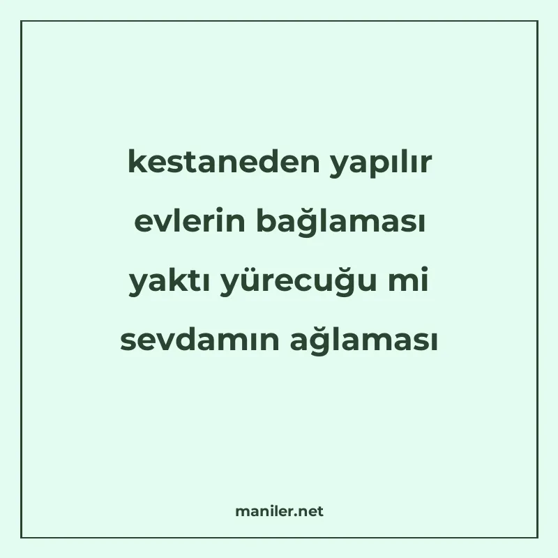 kestaneden yapılır evlerin bağlaması yaktı yürecuğu mi sevda manisi görseli