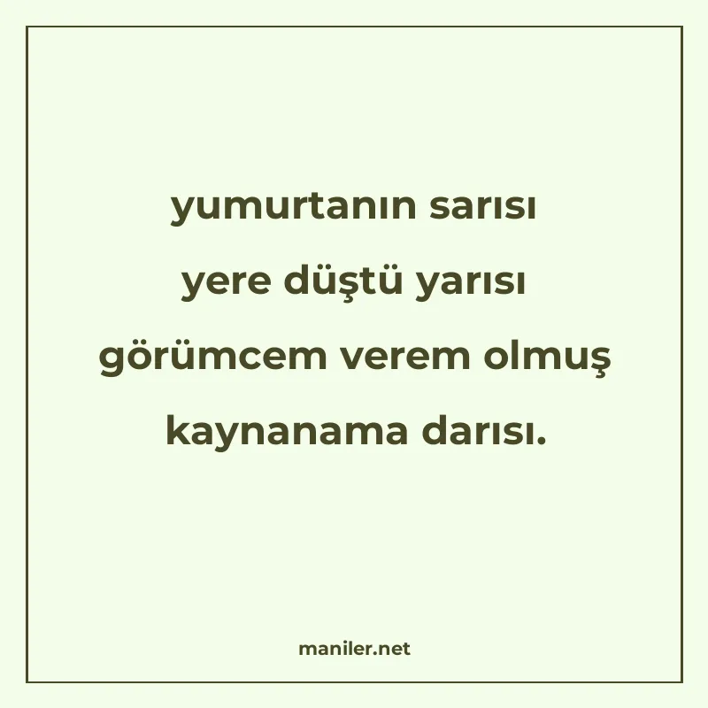 yumurtanın sarısı yere düştü yarısı görümcem verem olmuş kay manisi görseli