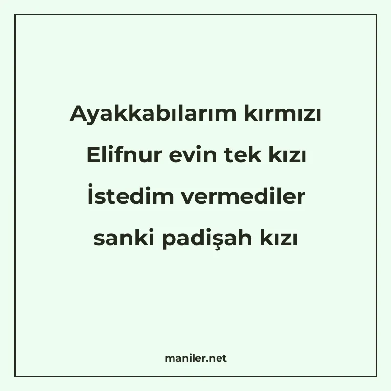 Ayakkabılarım kırmızı Elifnur evin tek kızı İstedim vermedil manisi görseli