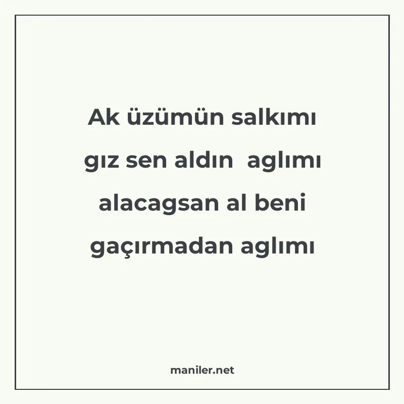 Ak üzümün salkımı gız sen aldın aglımı alacagsan al beni gaç manisi görseli