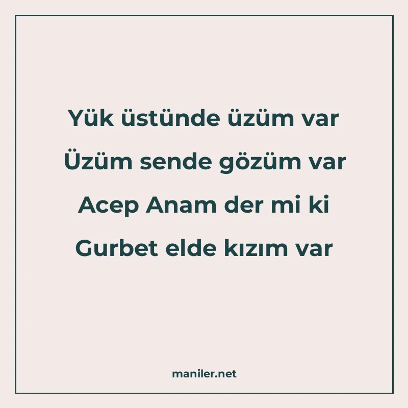 Yük üstünde üzüm var Üzüm sende gözüm var Acep Anam der mi k manisi görseli
