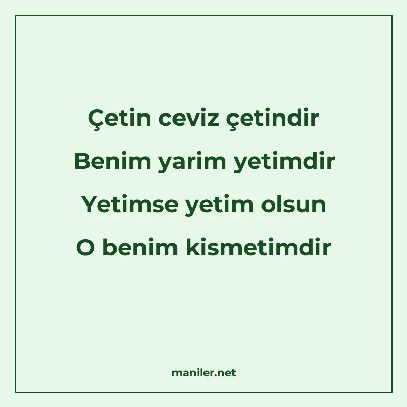 Çetin ceviz çetindir Benim yarim yetimdir Yetimse yetim olsu manisi görseli