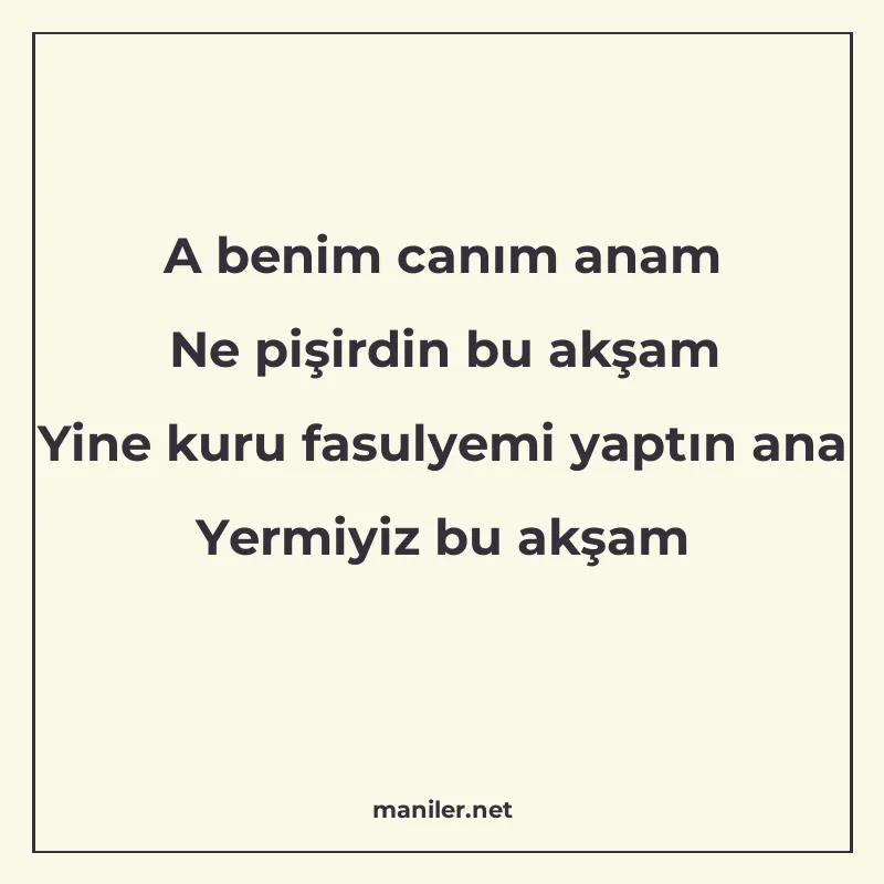 A benim canım anam Ne pişirdin bu akşam Yine kuru fasulyemi manisi görseli