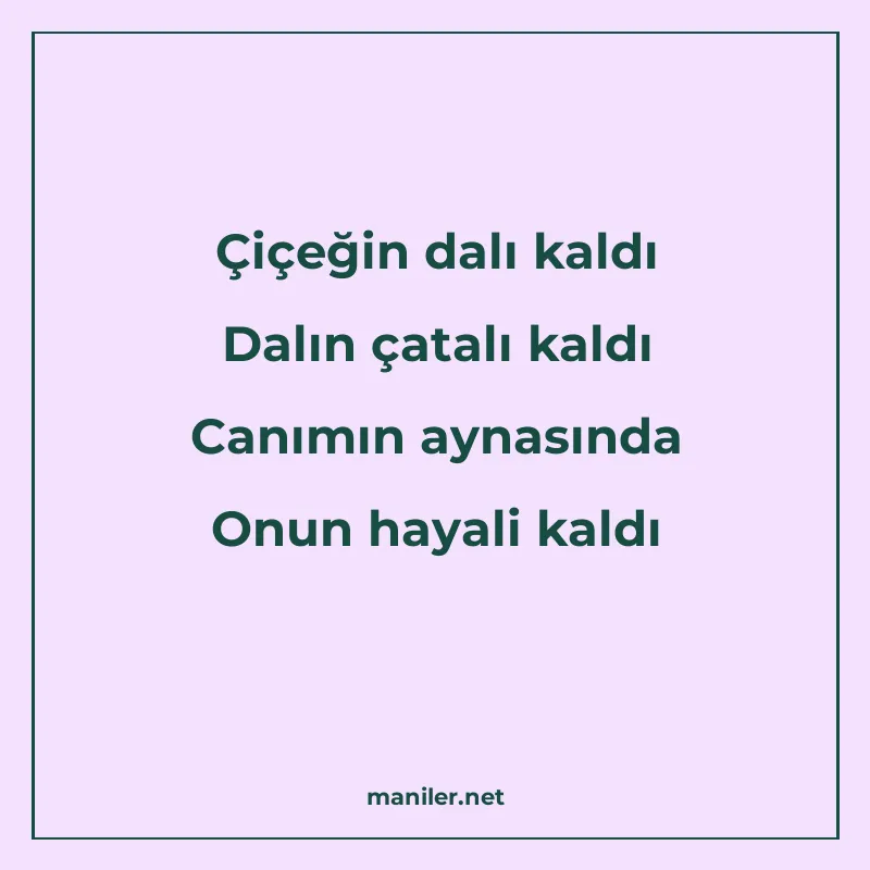 Çiçeğin dalı kaldı Dalın çatalı kaldı Canımın aynasında Onun manisi görseli