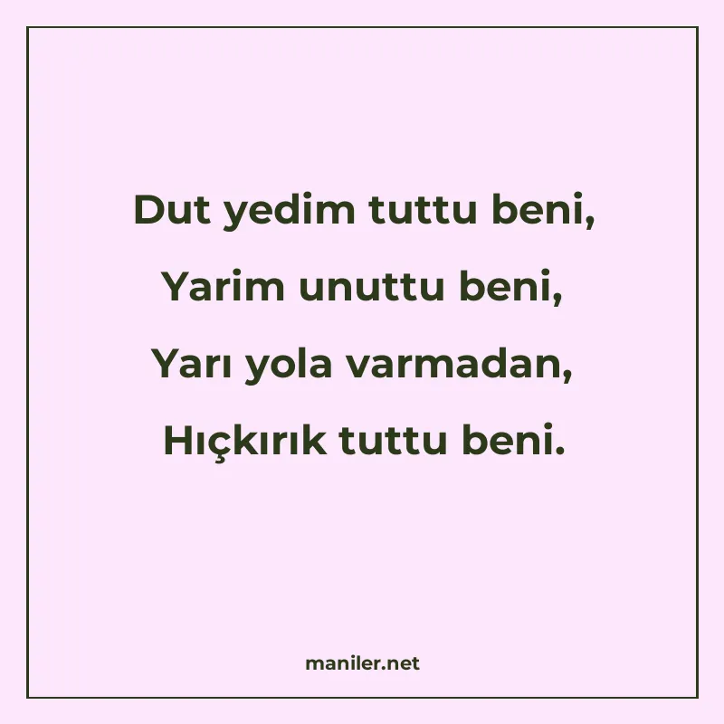 Dut yedim tuttu beni, Yarim unuttu beni, Yarı yola varmadan manisi görseli