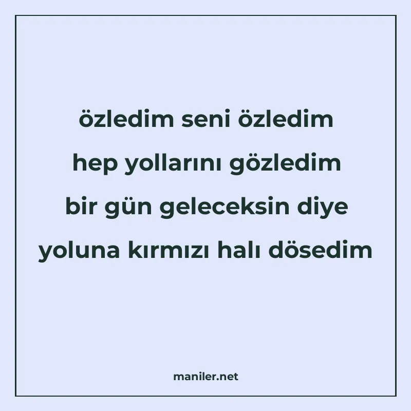 özledim seni özledim hep yollarını gözledim bir gün geleceks manisi görseli