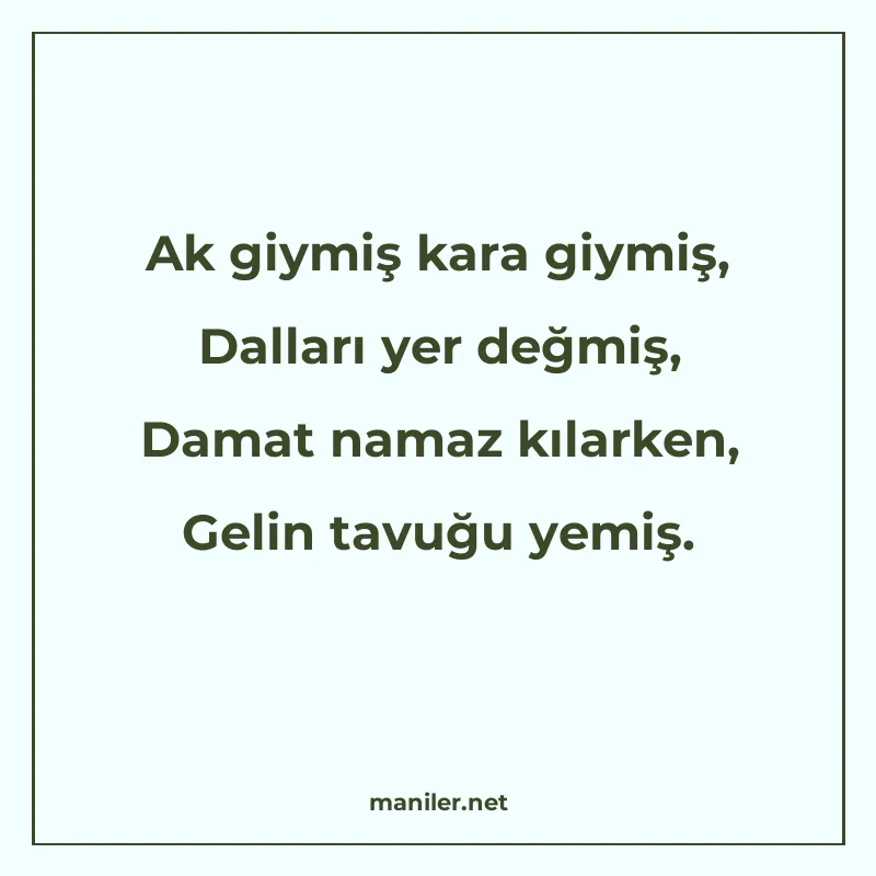 Ak giymiş kara giymiş, Dalları yer değmiş, Damat namaz kılar manisi görseli