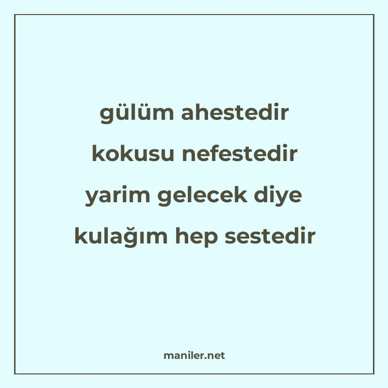gülüm ahestedir kokusu nefestedir yarim gelecek diye kulağım manisi görseli