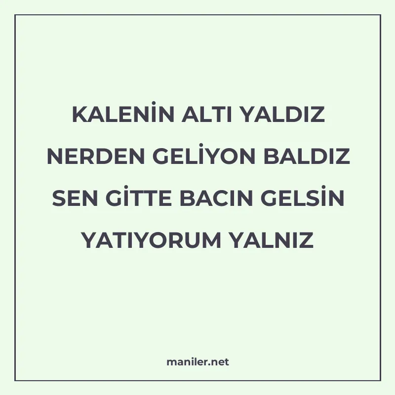 KALENİN ALTI YALDIZ NERDEN GELİYON BALDIZ SEN GİTTE BACIN GE manisi görseli