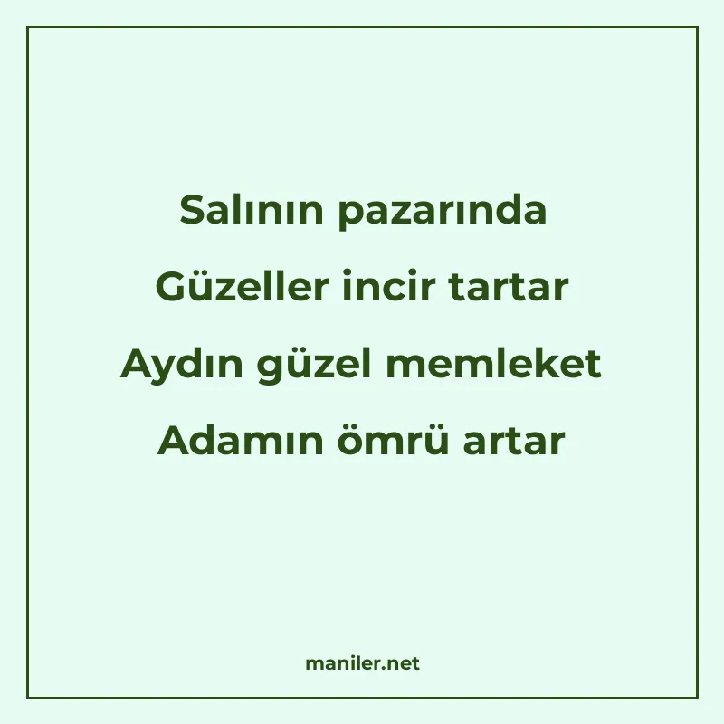 Salının pazarında Güzeller incir tartar Aydın güzel memleket manisi görseli