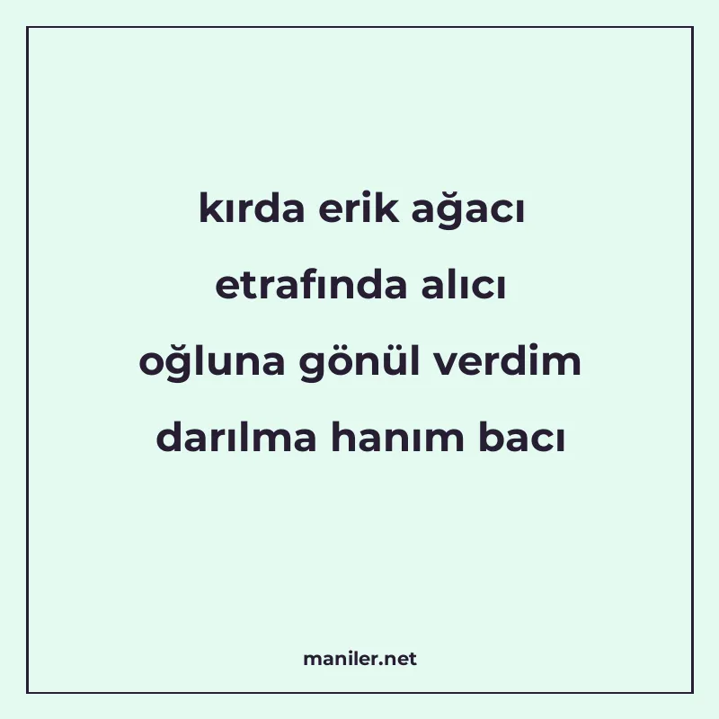 kırda erik ağacı etrafında alıcı oğluna gönül verdim darılma manisi görseli