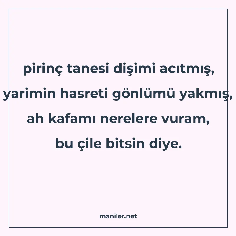 pirinç tanesi dişimi acıtmış, yarimin hasreti gönlümü yakmış manisi görseli