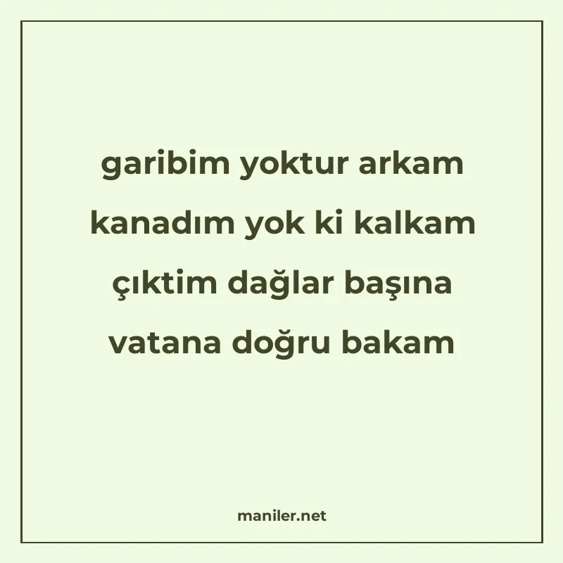 garibim yoktur arkam kanadım yok ki kalkam çıktim dağlar baş manisi görseli