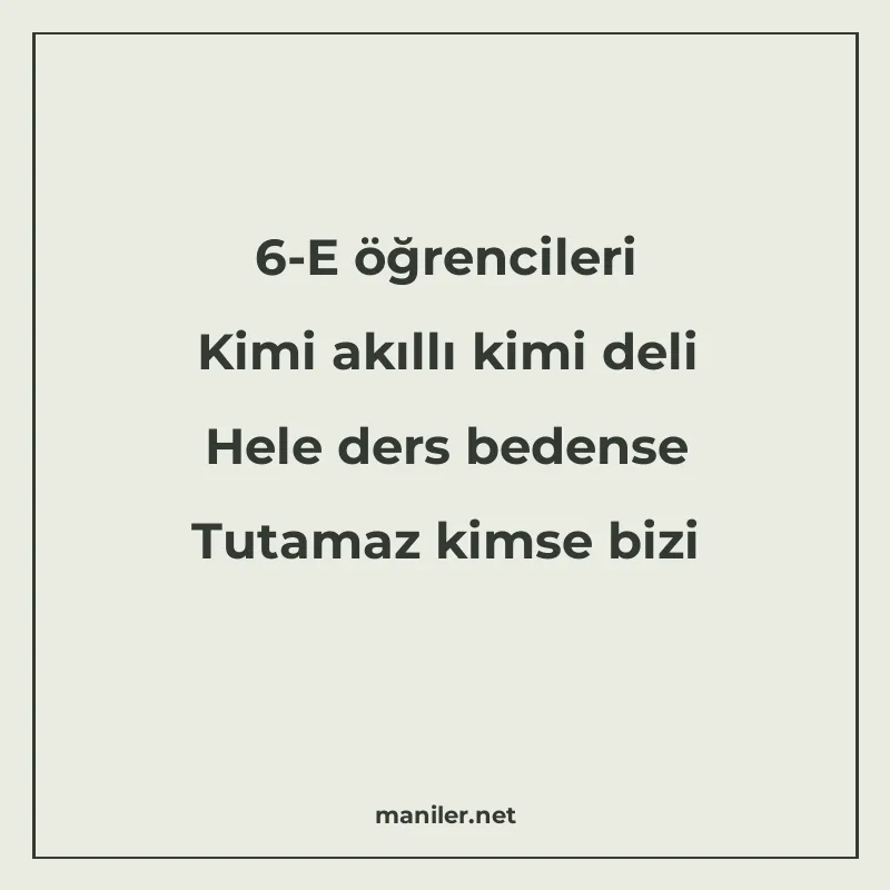 6-E öğrencileri Kimi akıllı kimi deli Hele ders bedense Tuta manisi görseli