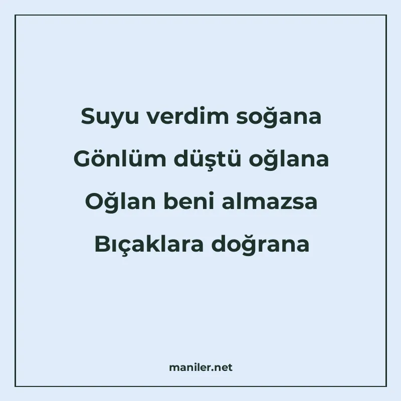 Suyu verdim soğana Gönlüm düştü oğlana Oğlan beni almazsa Bı manisi görseli