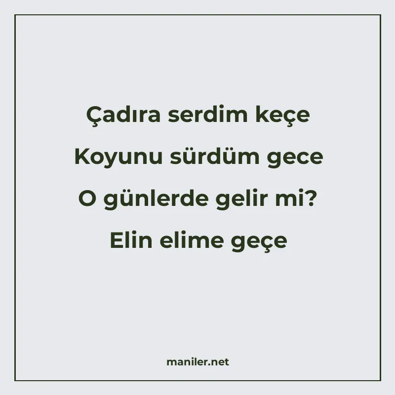 Çadıra serdim keçe Koyunu sürdüm gece O günlerde gelir mi? E manisi görseli