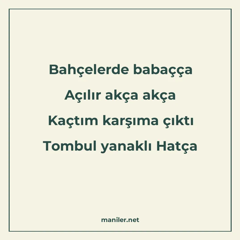 Bahçelerde babaçça Açılır akça akça Kaçtım karşıma çıktı Tom manisi görseli