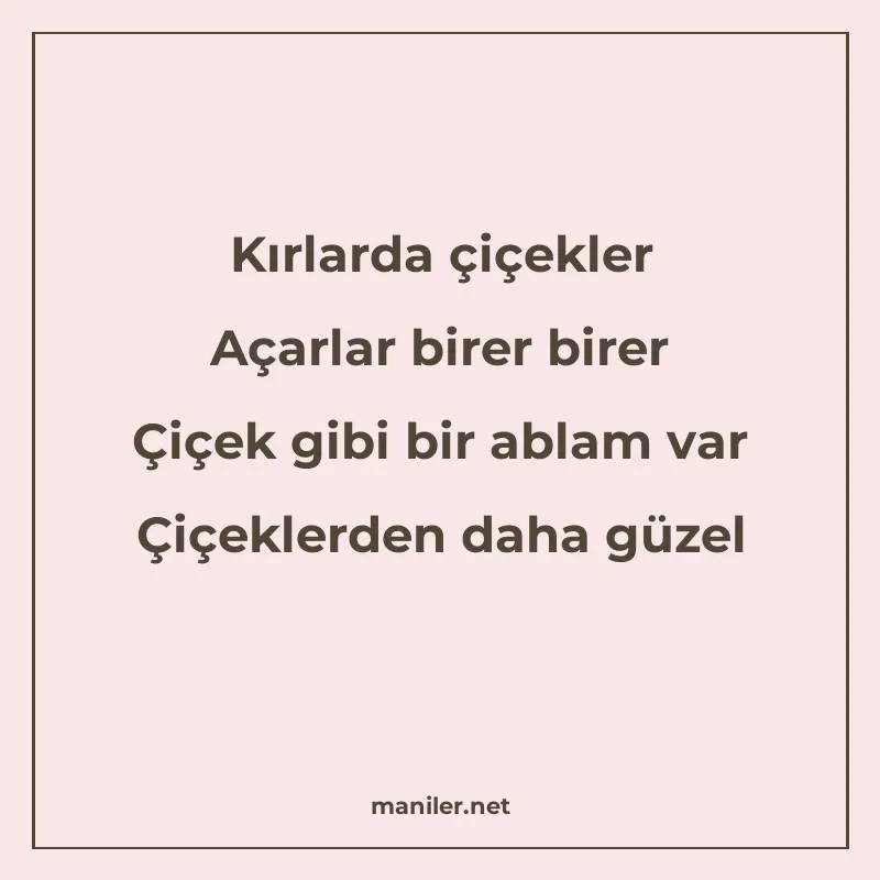 Kırlarda çiçekler Açarlar birer birer Çiçek gibi bir ablam v manisi görseli