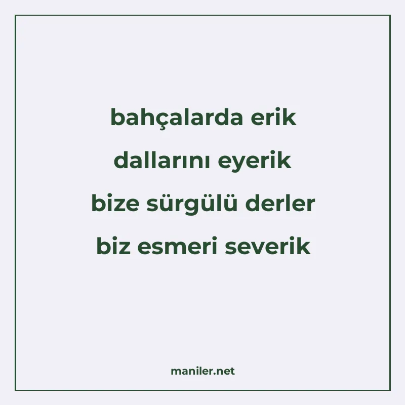 bahçalarda erik dallarını eyerik bize sürgülü derler biz esm manisi görseli