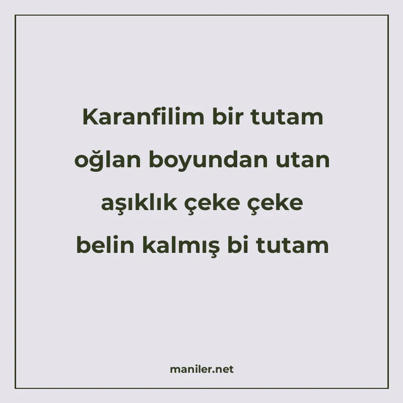 Karanfilim bir tutam oğlan boyundan utan aşıklık çeke çeke b manisi görseli