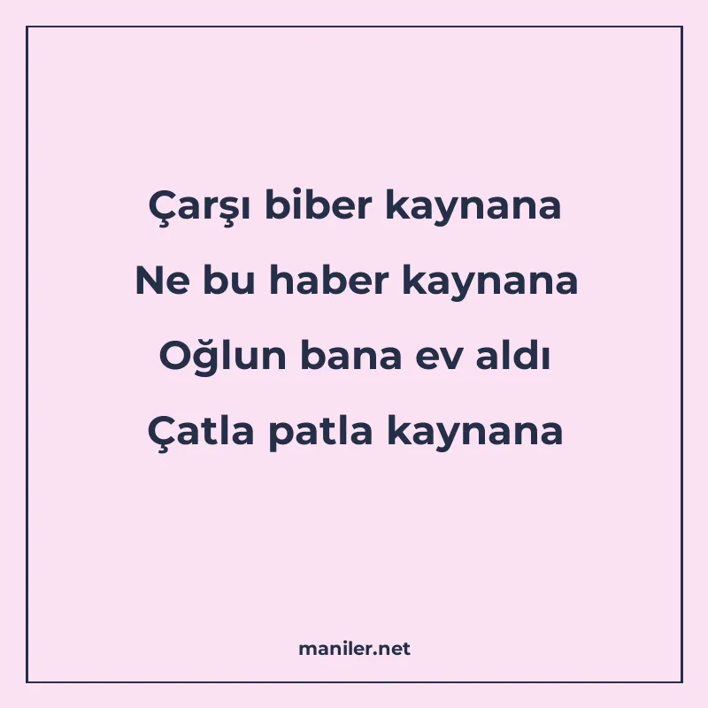 Çarşı biber kaynana Ne bu haber kaynana Oğlun bana ev aldı Ç manisi görseli