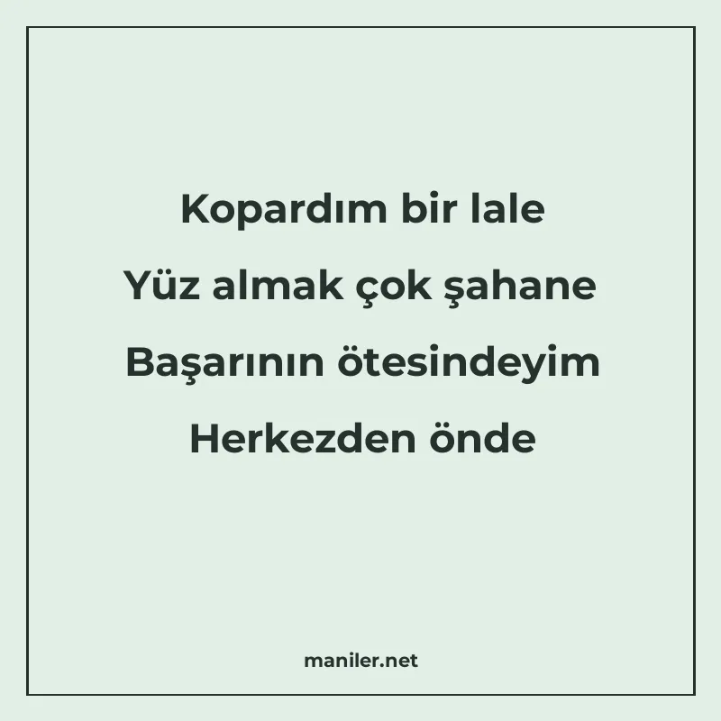 Kopardım bir lale Yüz almak çok şahane Başarının ötesindeyim manisi görseli