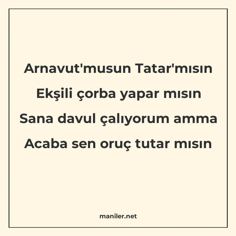 Arnavut'musun Tatar'mısın Ekşili çorba yapar mısın Sana davu manisi görseli