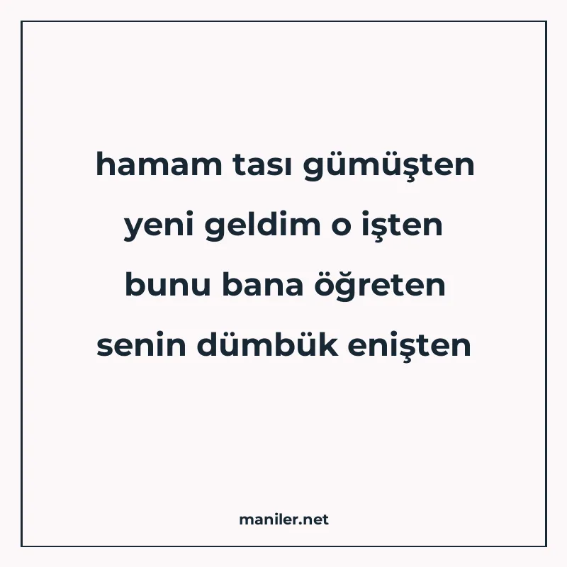 hamam tası gümüşten yeni geldim o işten bunu bana öğreten se manisi görseli
