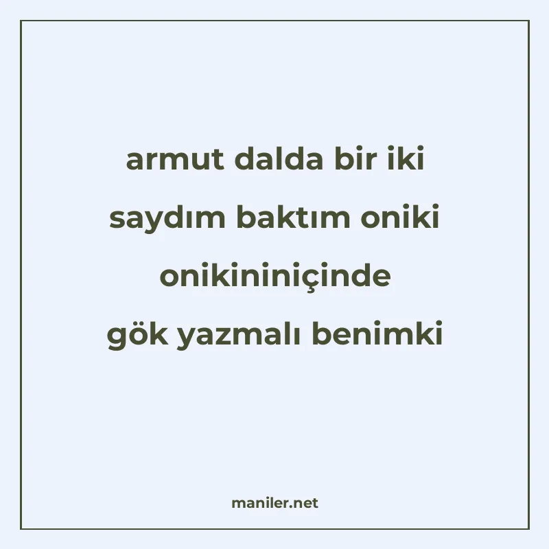 armut dalda bir iki saydım baktım oniki onikininiçinde gök y manisi görseli