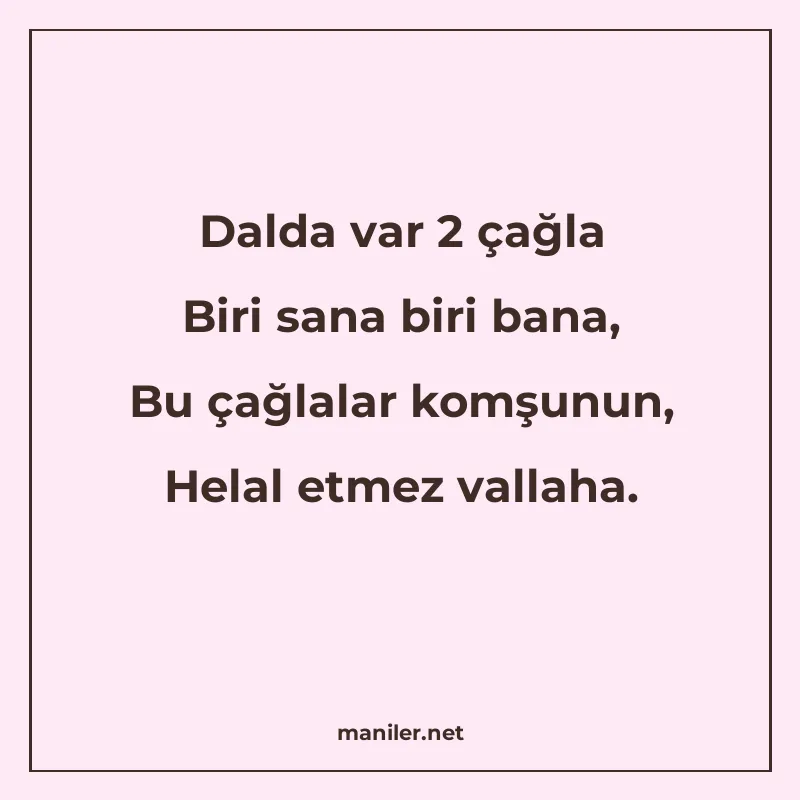 Dalda var 2 çağla Biri sana biri bana, Bu çağlalar komşunun manisi görseli