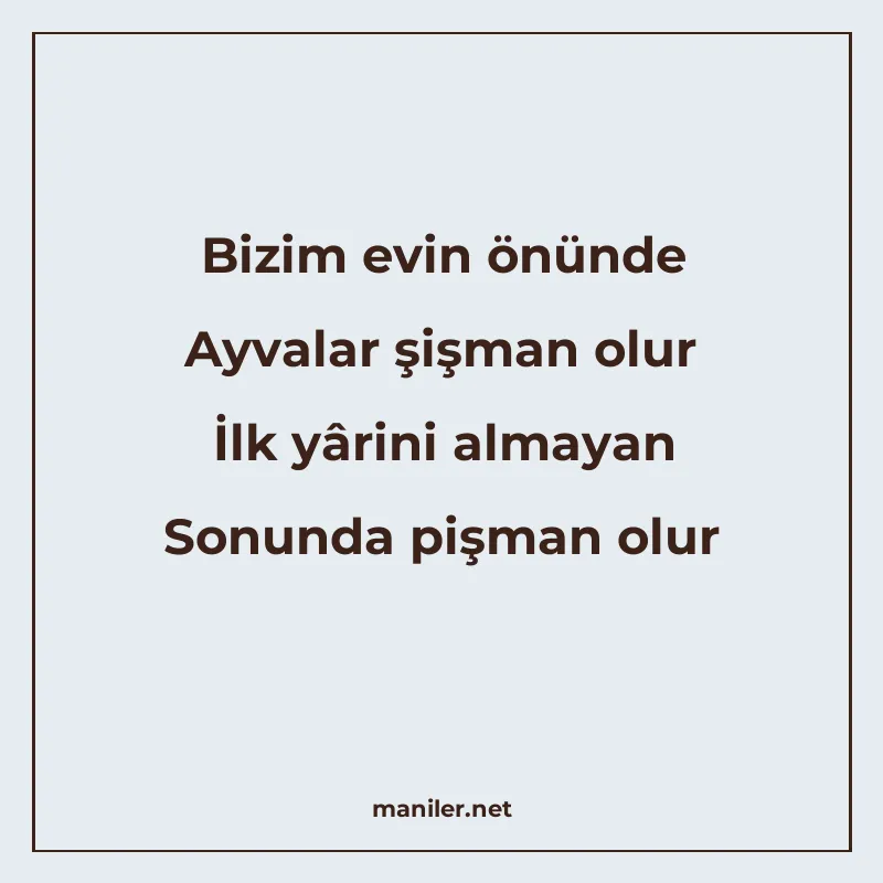 Bizim evin önünde Ayvalar şişman olur İlk yârini almayan Son manisi görseli