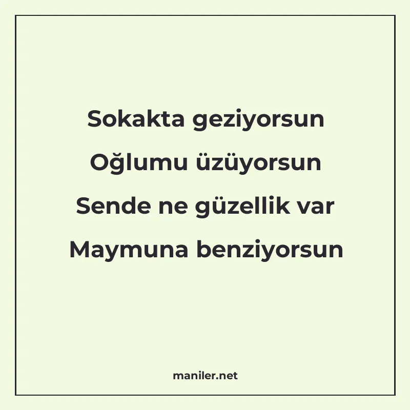 Sokakta geziyorsun Oğlumu üzüyorsun Sende ne güzellik var Ma manisi görseli